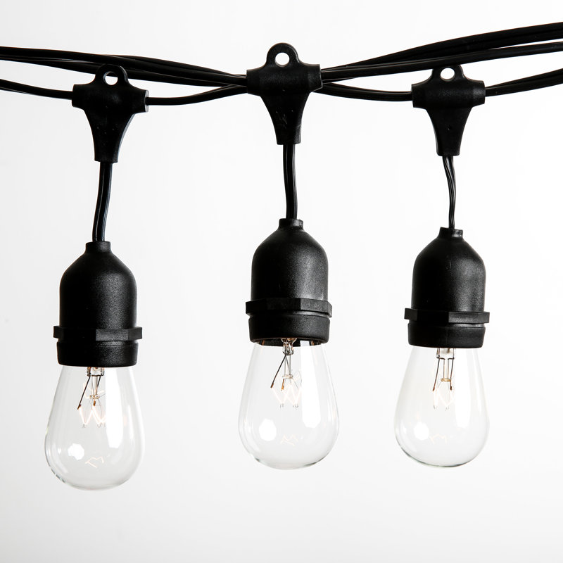 Guirlande de 50 lumières d'extérieur standard de 50 pi