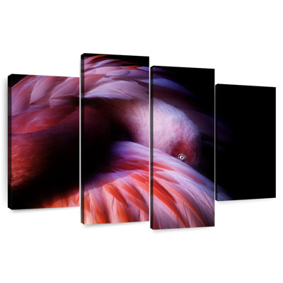Flamant rose dégradé Brampt