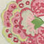 Somerset Fabric-1527087982