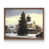 Noyer