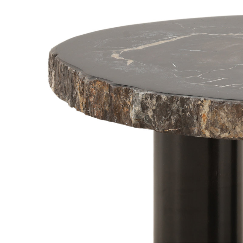 Table basse Darnell Petrified, H 16 po x L 30 po x l 31,5 po