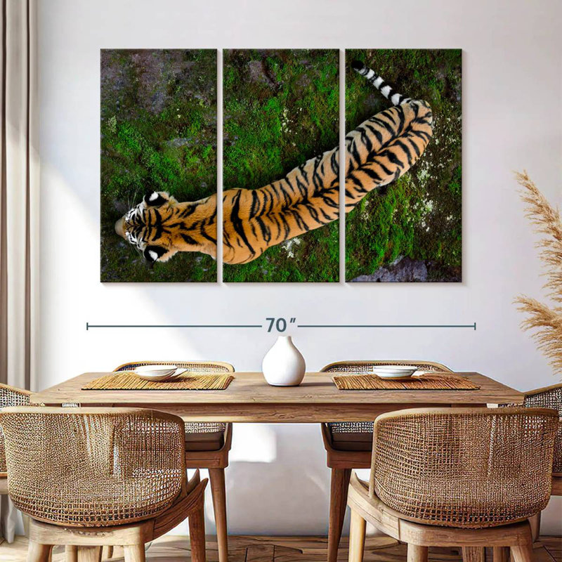 Brampt Tiger From Above, 42" H x 65" W