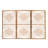 Azalea Framed Wall Decor Set