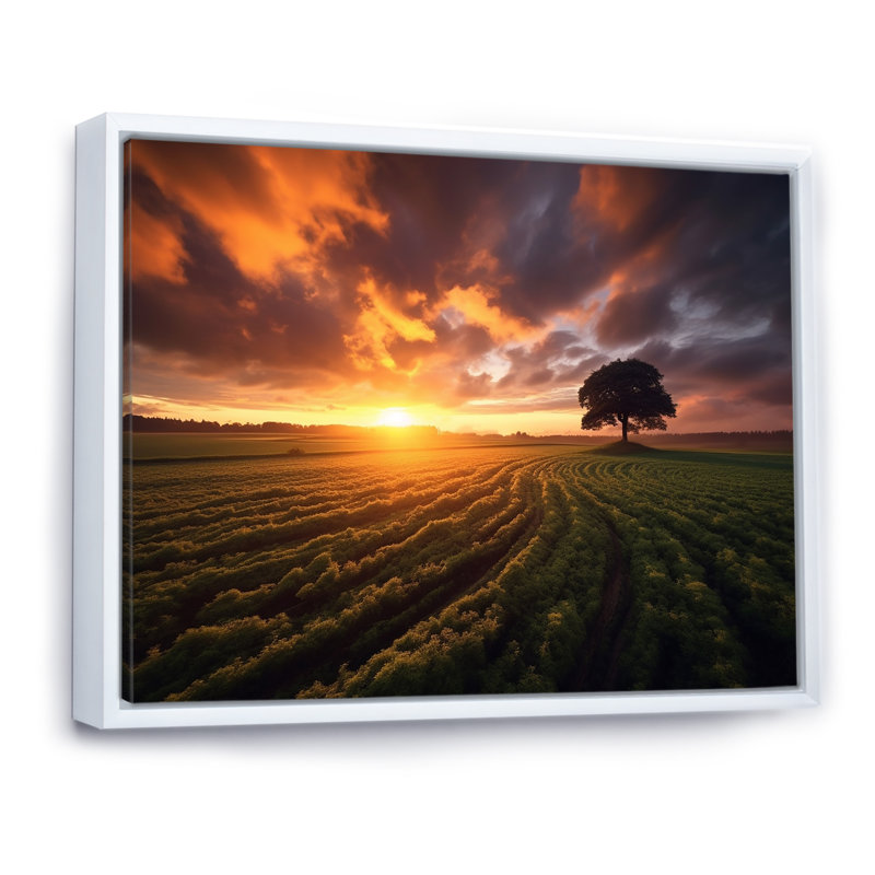 «A Single Tree Glorious Sunset In Flanders Fields I», reproduction sur toile, H 34 po x l 44 po, Cadre flottant blanc