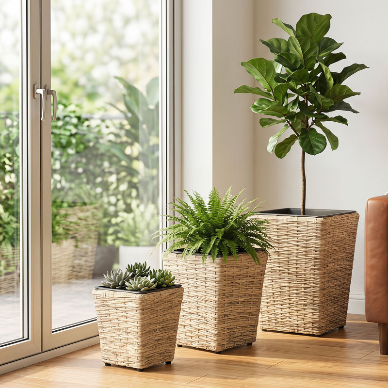 Ensemble de 3 jardinières en rotin avec doublures en plastique amovibles pour plantes d'intérieur et d'extérieur, de couleur naturel et noir.