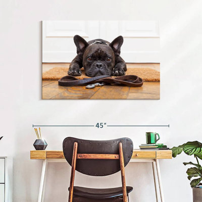 Bouledogue français en attente