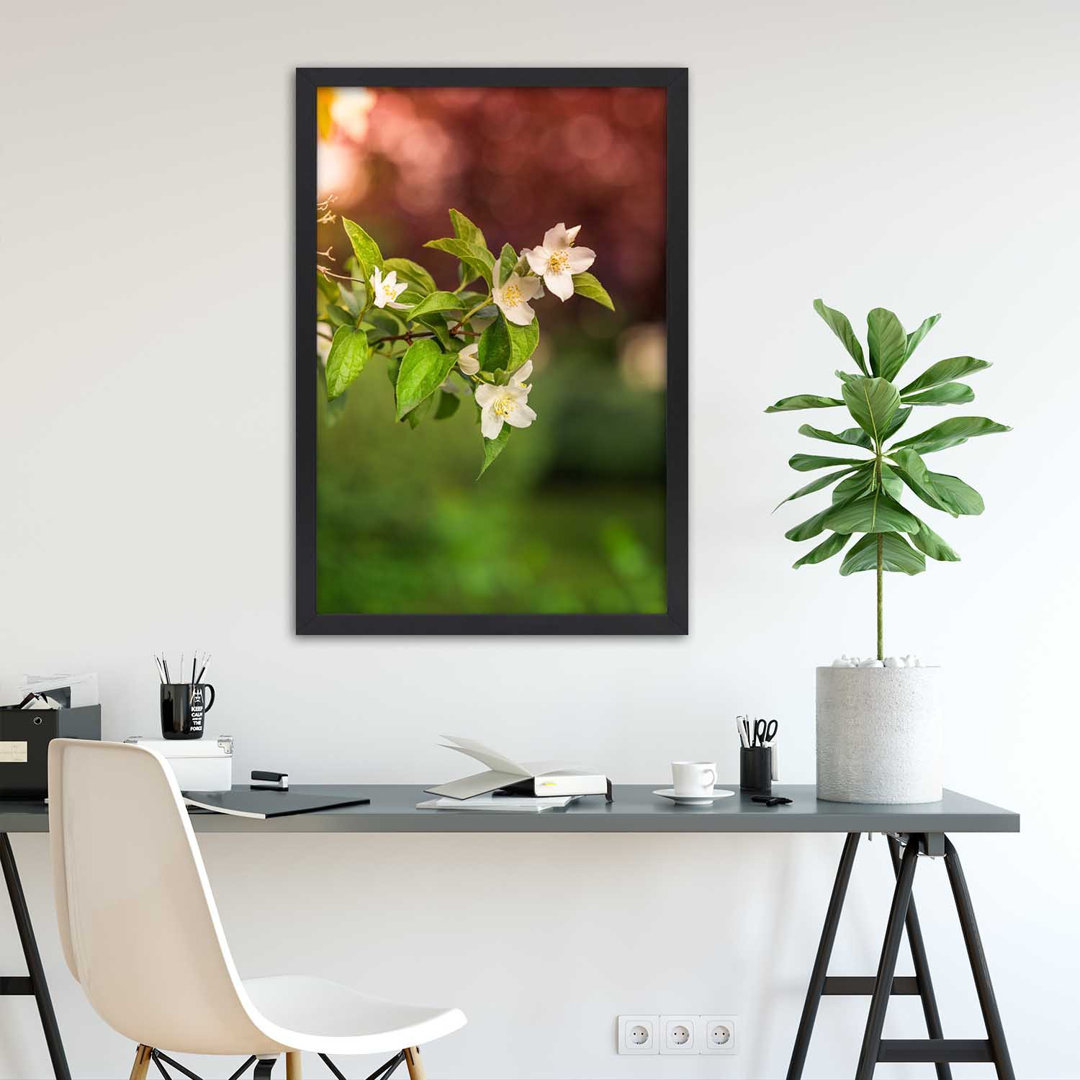 Gerahmter Fotodruck Jasmine Flowers