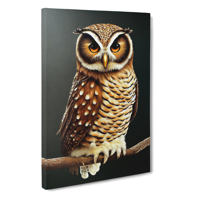 Owl Upon A Branch No.2 - Wrapped Canvas, 50cm H x 35cm W x 3cm D