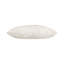 Swan Lake Pillow