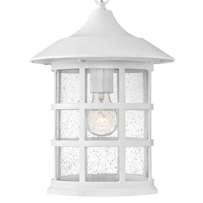 Freeport 1-Light Outdoor Hanging Lantern