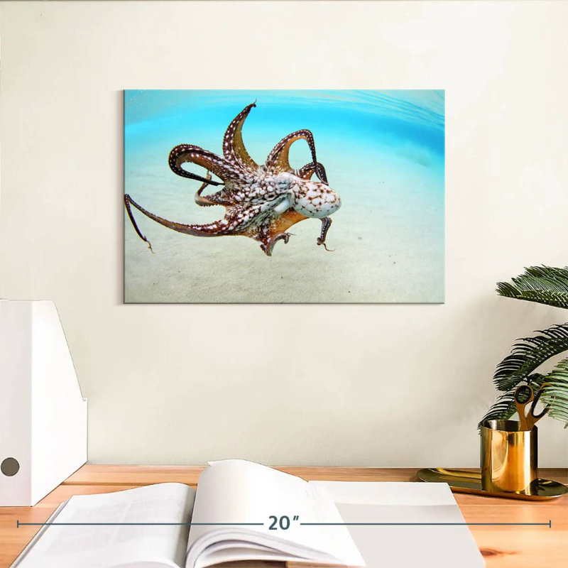 Brampt Wild Ocean Octopus, 8" H x 12" W