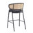 Ethan Indoor Metal Upholstered Barstool, Faux Leather Seat With Wowen Rattan Decorated Backrest, Set of 2