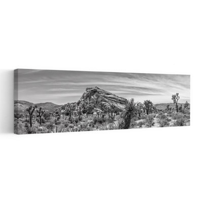 Joshua Tree, paysage désertique, paysage serein dramatique classique, art mural