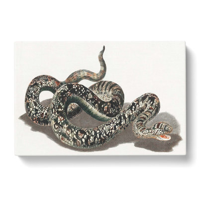 Snake by Johan Teyler - Wrapped Canvas