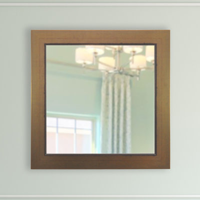 Doylestown Flat Wall Mirror