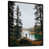 Black Floater Framed