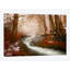 « the matinée walk », reproduction de photo sur toile-21718434-71849054