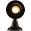Rustic Lodge 1 - Light Armed Sconce