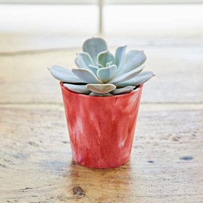 Pot Planter