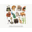 Asian Animal Wall Decals, Set of 14 Educational Peel and Stick Wall Stickers, Classroom Playroom Decor, Kids Learning Wall Art, 20"W x 20"H (50 x 50 cm)-160918378
