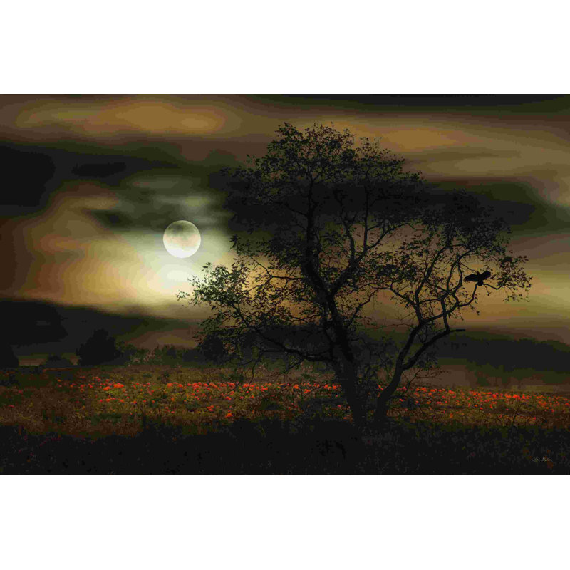 " When Pumpkins Glow By Moonlight " by Lori Deiter, 8" H x 12" W