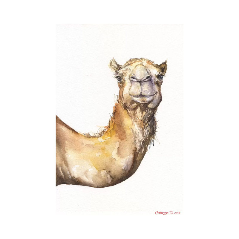 Camel by George Dyachenko - Wrapped Canvas Print, 101.6 cm H x 66.04 cm W x 1.91 cm D