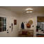 Luminaire suspendu convertible-287768883-287768882