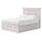 Jaekob Queen Panel Storage Bed