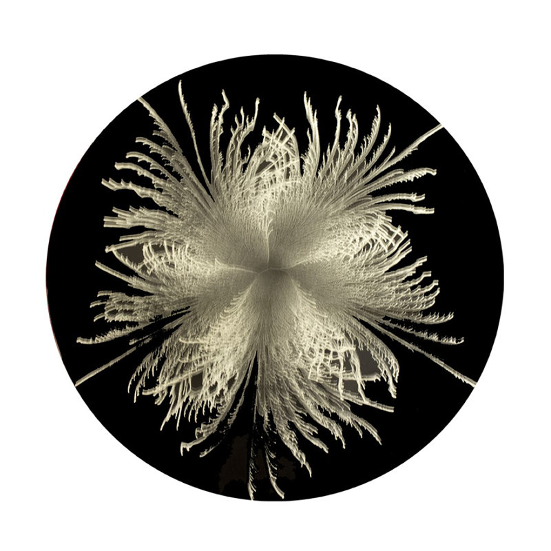 Silver Feather Round Placemat