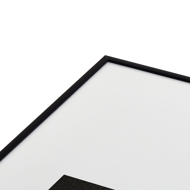 «Parrott Paints Together II», reproduction d'art encadrée, Noir, H 36 po x l 24 po