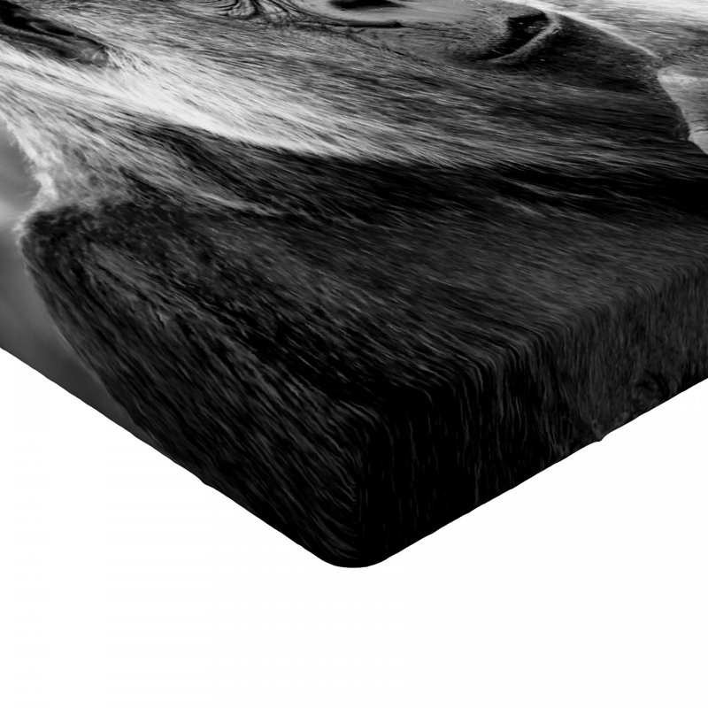 Microfiber Fitted Sheet, Twin Fitted Sheet
