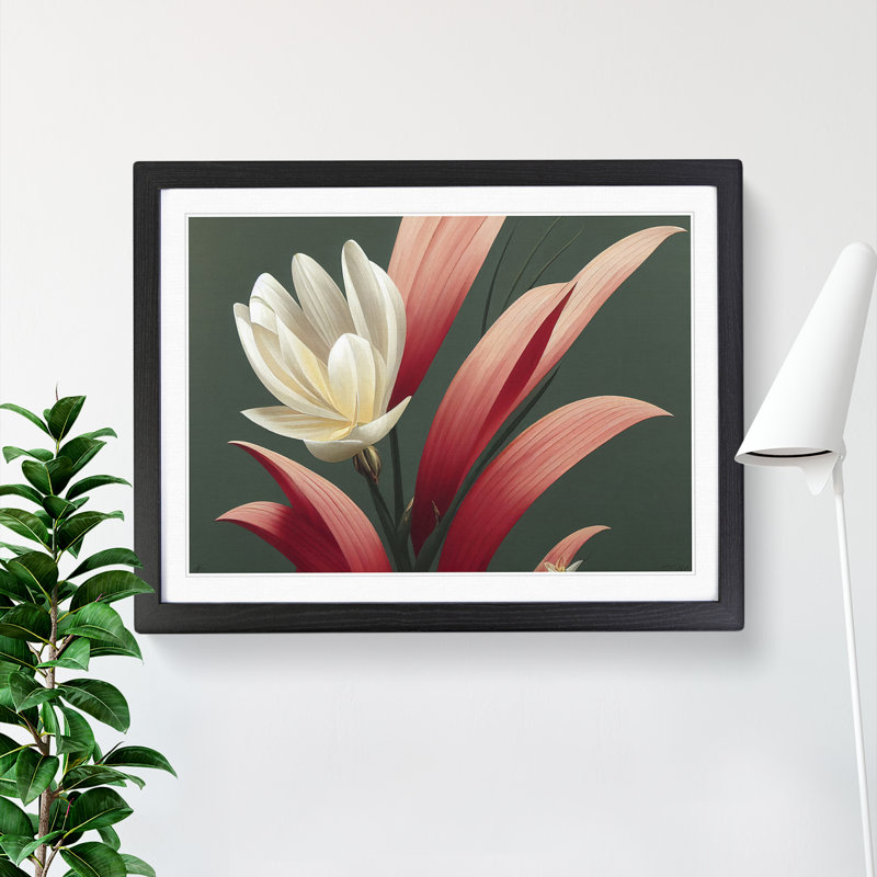 Extraordinary Flower - Single Picture Frame Print, 34cm H x 46cm W x 2cm D, Black
