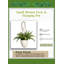 Faux Fern Plant in Fiberstone Planter-936740193