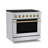 Hauslane 36" Gas Range In Stainless Steel | 6 Burners Up To 20,000 Btus | 5.2 Cu. Ft. Convection Oven With 5 Rack Positions | Convertible Ng/Lp | Cool-Touch Triple-Layer Door Satin Brass-120733771