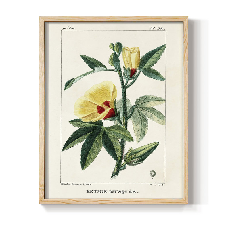 «Turpin Tropical Botanicals VI», reproduction encadrée - bois massif, H 11 po x l 9 po