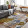 Raydan Abstract Machine Woven Area Rug in