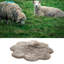 Solid Colour Faux Sheepskin 90cm X 90cm Area Rug