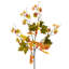 Faux Maple Leaf Branch