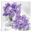 Flower Bloom In Amethyst I by Jesse Stevens - Print on Canvas-101410422-101410421