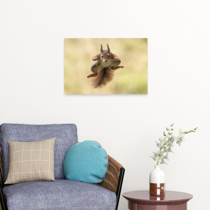«Red Squirrel Mid-Air Energetic Playful Contemporary Squirrel Forest Nature», reproduction d'art, 16" H x 24" W