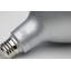 21 Watt Silver Bulb