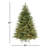 Frasier Grande Tree with Clear Lights-88040079