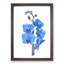 Beautiful Blue Orchids - Picture Frame Graphic Art Print-56862766-56862771