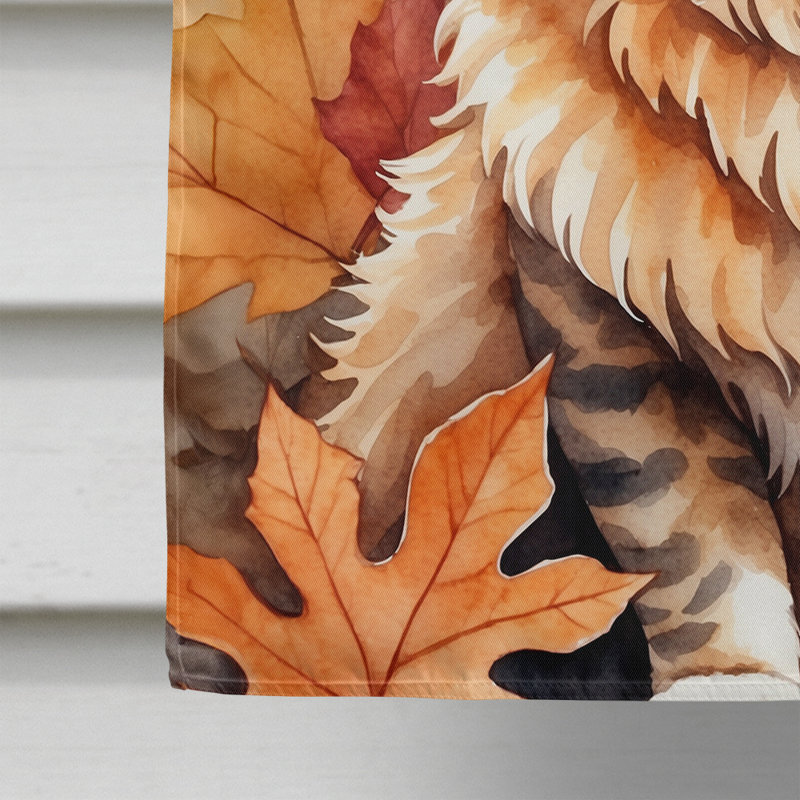 Chat en feuilles d'automne, Skookum