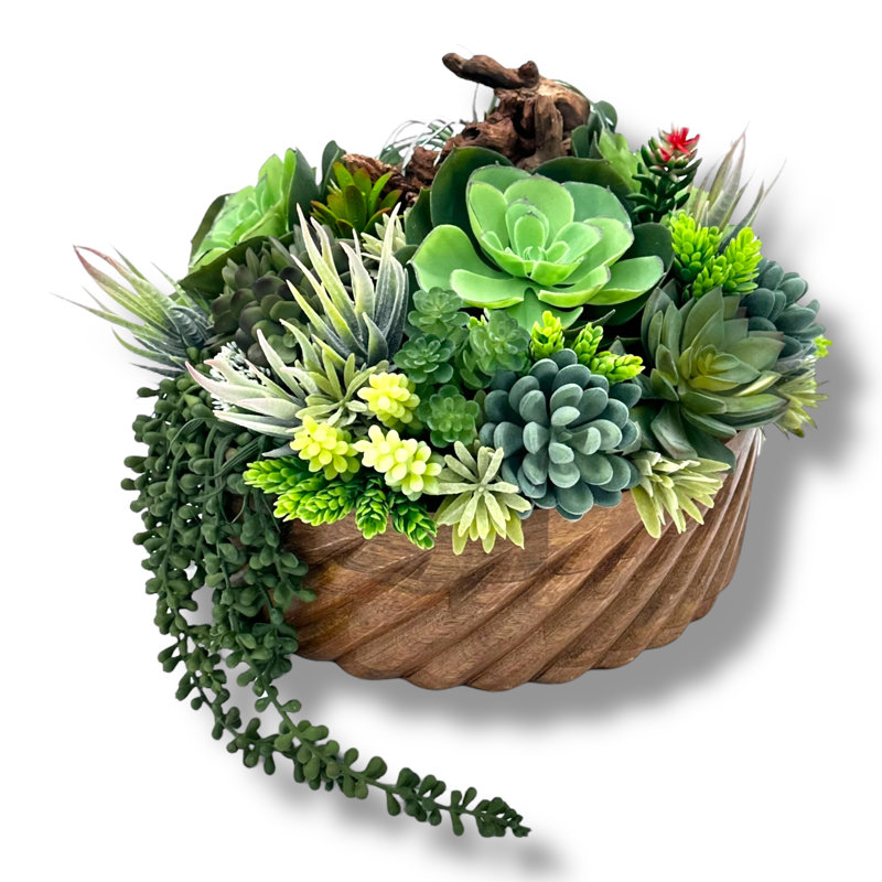 Conception succulente dans un vase circulaire en bois texturé brun clair