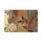 Natura II by Aimee Wilson - Wrapped Canvas Print-1334455628