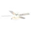 Aelisa 132cm Ceiling Fan with Light Kit