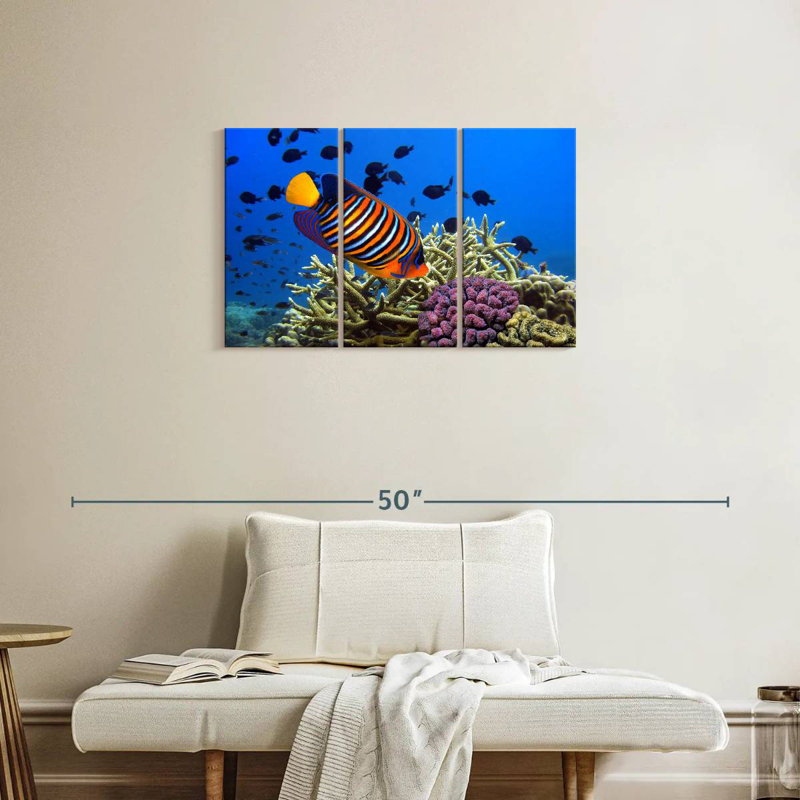 Brampt Royal Angelfish, 20" H x 33" W