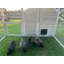 Modern Modern Nesting - Poulailler