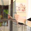 60.5cm Table Top Bird Cage with Perch